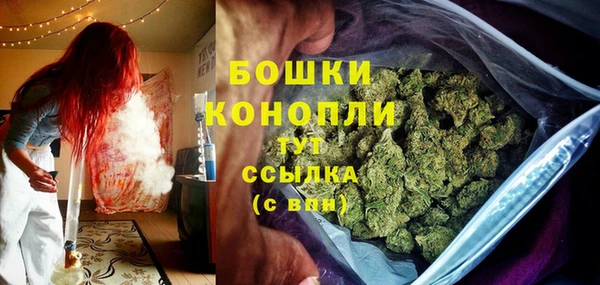 шишки Кукмор
