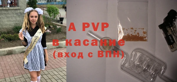 шишки Кукмор